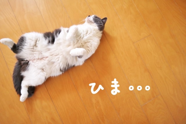 忙しくない課